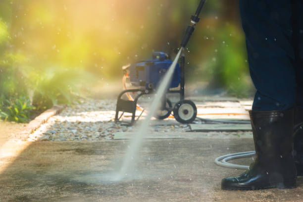 Best Soft Washing for Delicate Surfaces in Oyster Bay Cove, NY